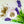 Load image into Gallery viewer, Lavender ARGAN Bath Bomb (4.5 oz)