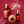 Load image into Gallery viewer, Rose Collection Gift Set
