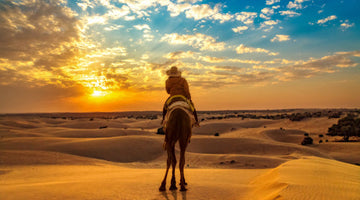 Argan Oil from Morocco