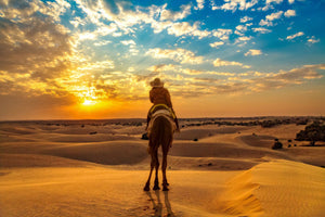 Argan Oil from Morocco