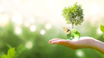 4 Things to Look for in an Organic Hand Sanitizer , Argan Oil for Hands
