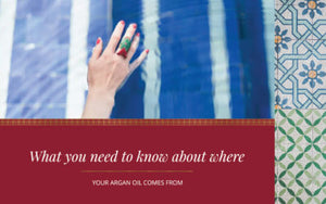 What you need to know about where your Argan Oil comes from