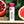 Load image into Gallery viewer, BOOSA Argan Lip Balm   (Pomegranate Grapefruit)
