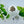 Load image into Gallery viewer, Eucalyptus Mint Argan Bath Bomb (4.5oz)
