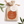 Load image into Gallery viewer, CAMEL MILK  Soap (Unscented)
