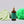 Load image into Gallery viewer, SLENDERIZE Detoxifying Body Oil
