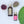 Load image into Gallery viewer, Pure Argan and Cactus Collection Gift Set
